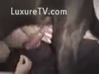 Slutty bitch got pounded by her pet porn dog